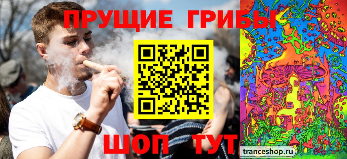 Псилоцибиновые грибы GOLDEN TEACHER  Вход с VPN  Чебаркуль 